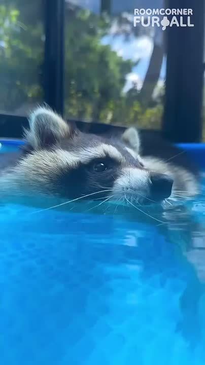  , !      !