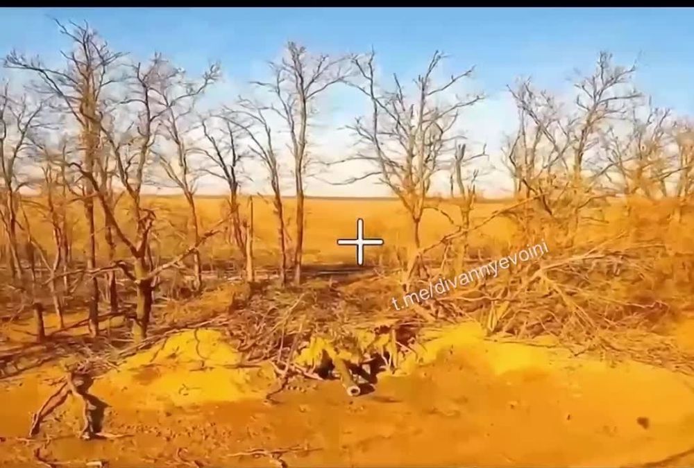   FPV-        