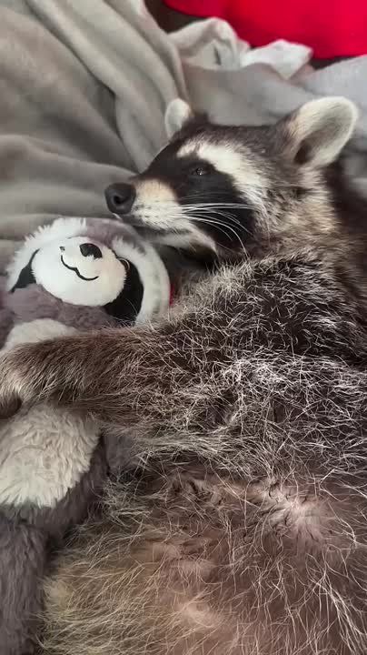  ,  !  , !