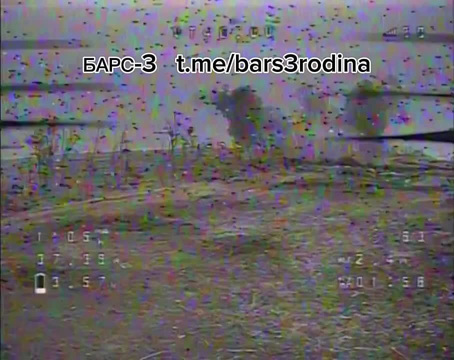  .  -,        ,    ,    fpv-       .  ...