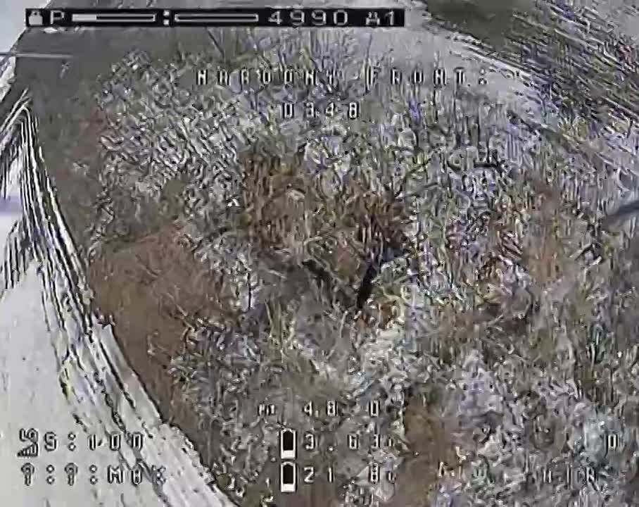   FPV    ,       ,  ,  