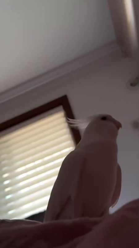       !