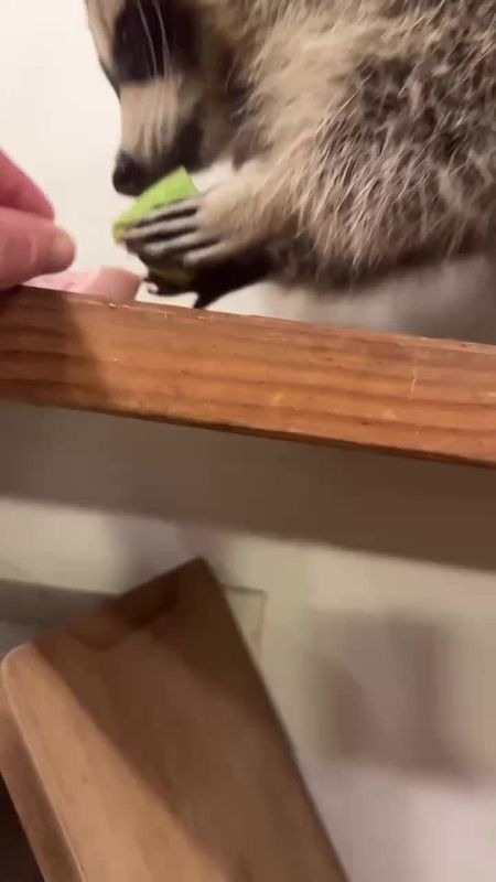  , !      !