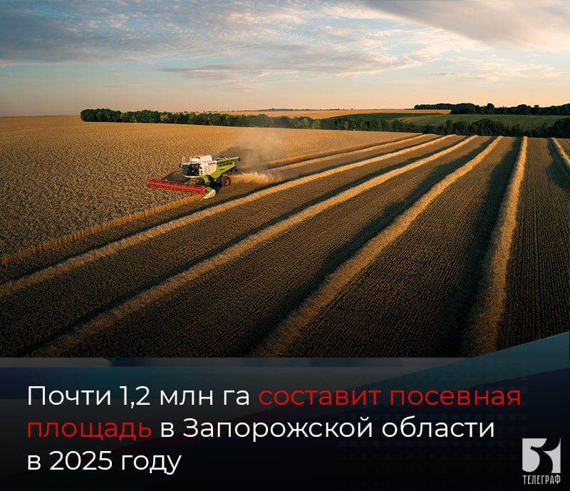  1,2          2025 