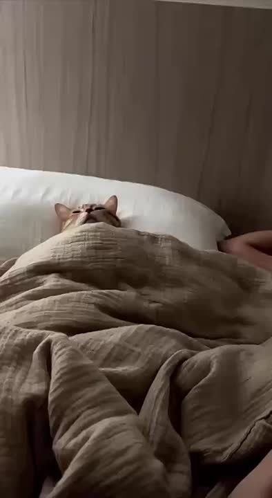    !