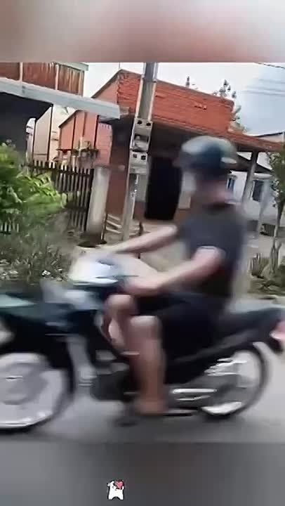  , !.       ,       !    !     ))  :