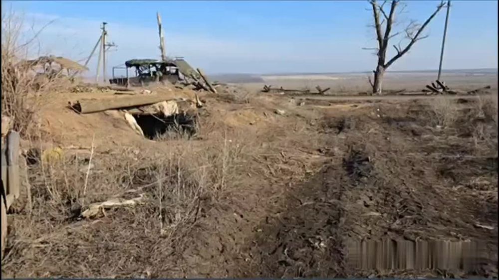       M1224 International MaxxPro  