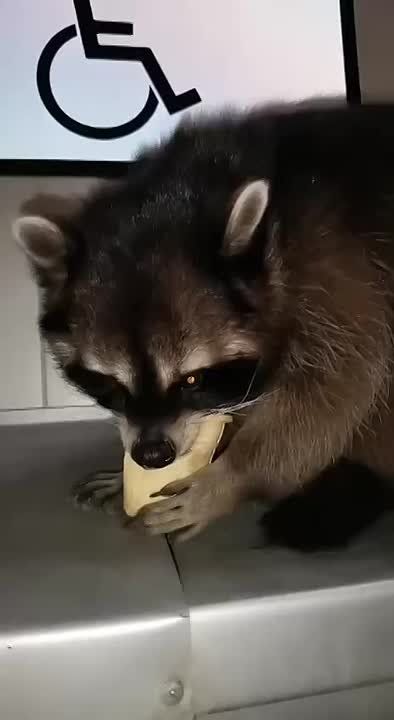  , !      !