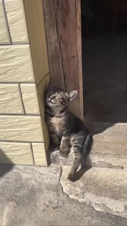  ,  !