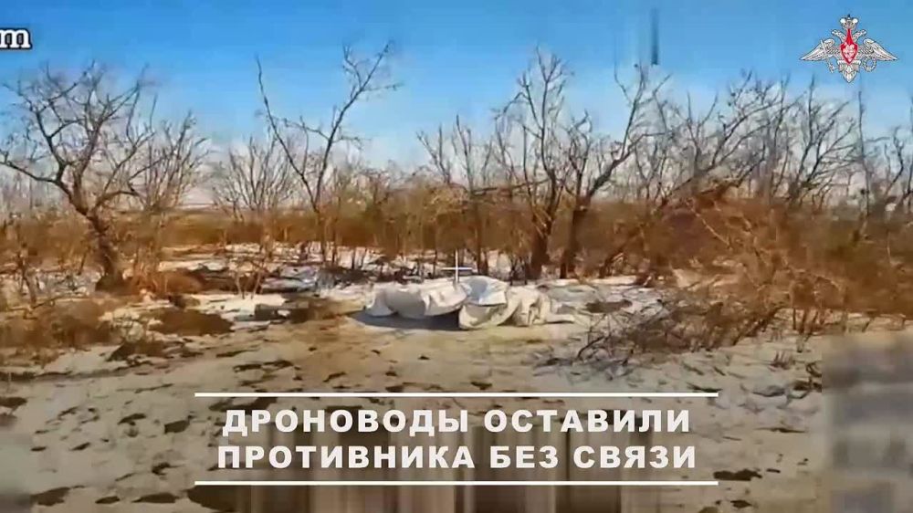  FPV-                 
