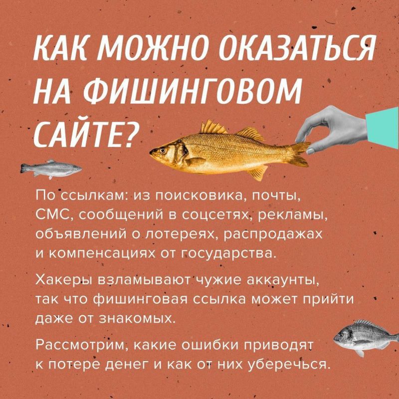            -,      ,   ,      