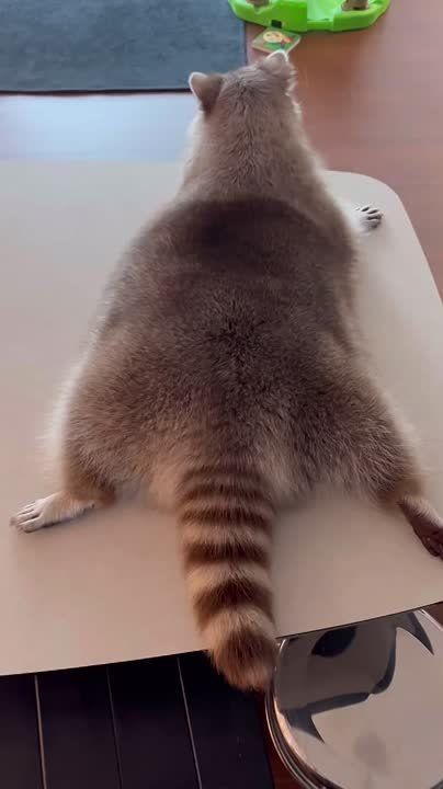  , !      !