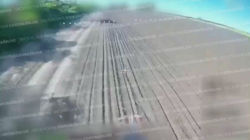          -     FPV- 