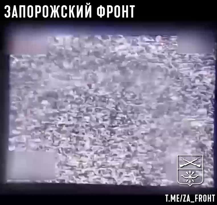       291-           