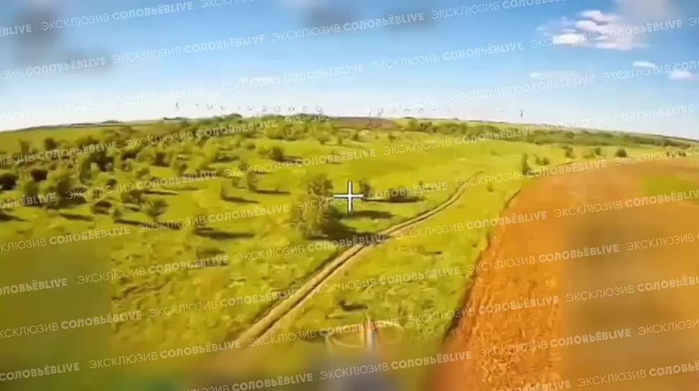          -     FPV- 