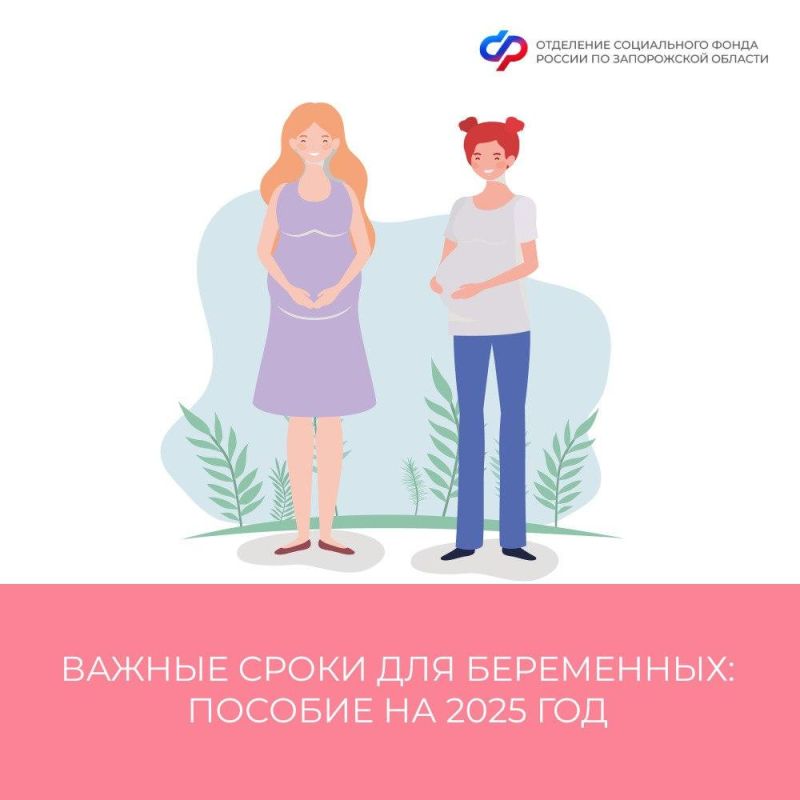        2025    