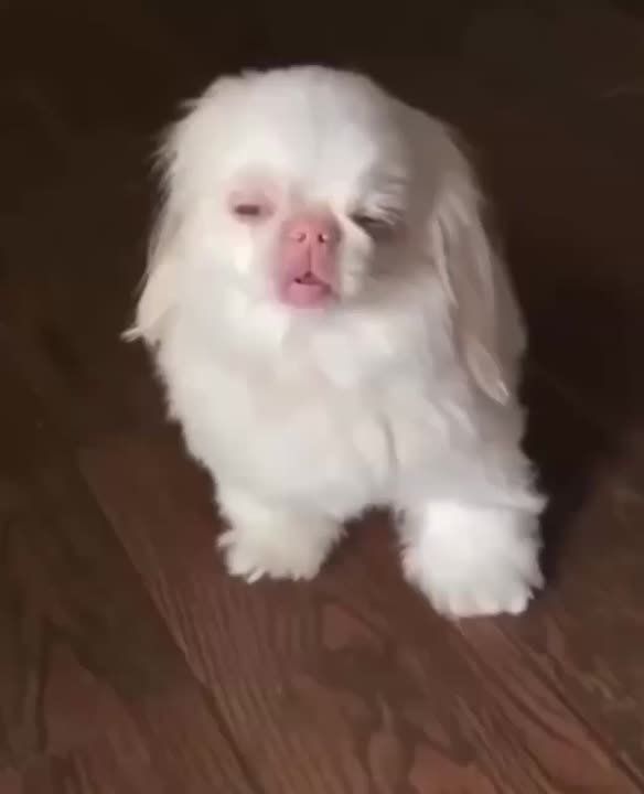   , :