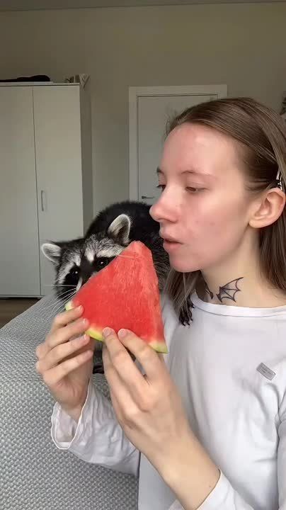  , !      !