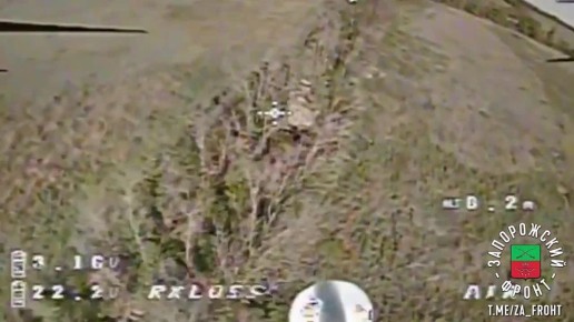  FPV      1429-             
