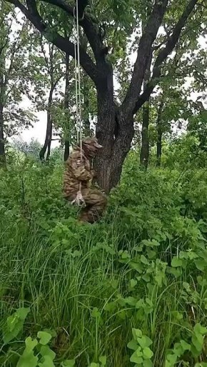   ,  !