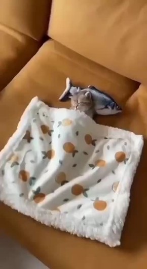    !