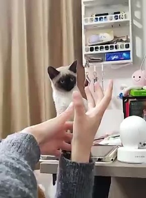      )))       !