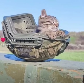   ,  !