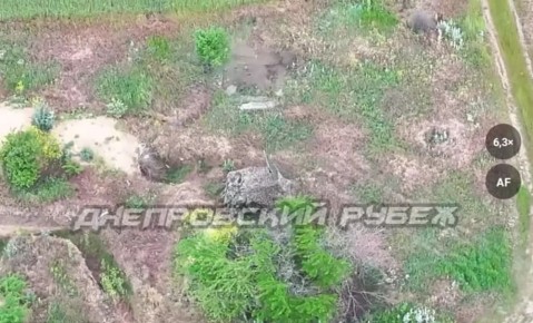  FPV-            ,      