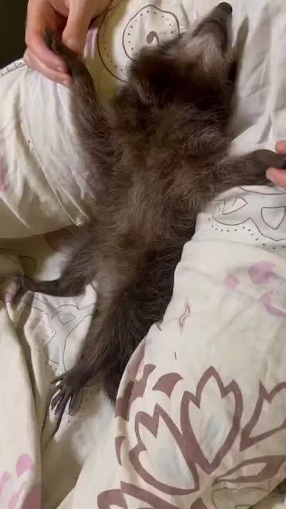  ,  !  , !
