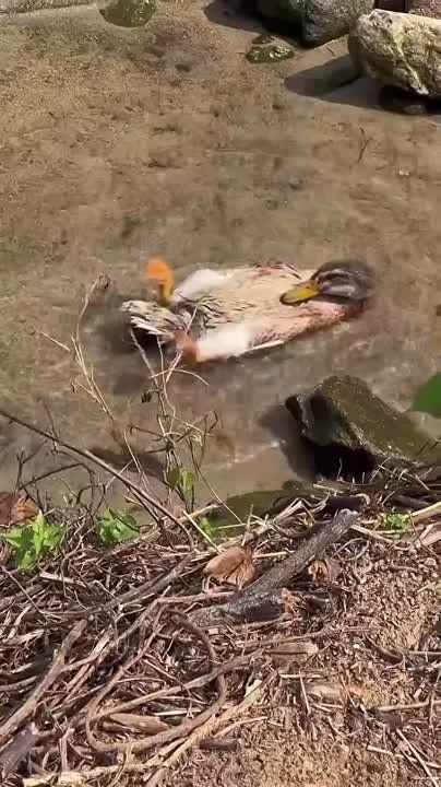    !