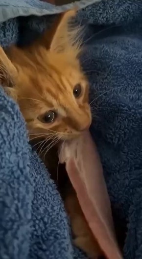 ,  ....    !    ,   