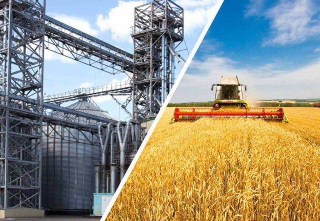 Малый бизнес в новых регионах продолжит получать кредиты под 10% в 2026 году