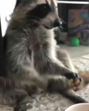  , !      !