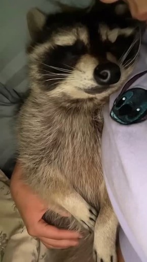  ,  !  , !