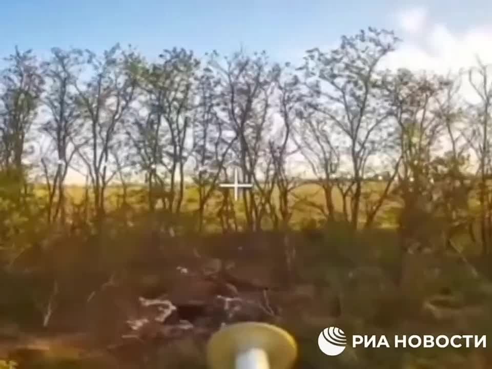  :   &quot;-&quot;  &quot;&quot;    ,    ,      