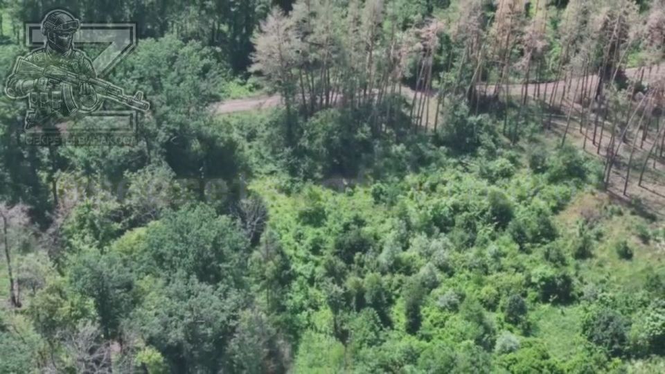 Бойцы группировки "Запад" уничтожили залетом FPV-дрона на оптоволокне вражеский миномет