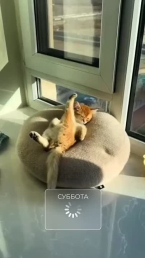   ,  !