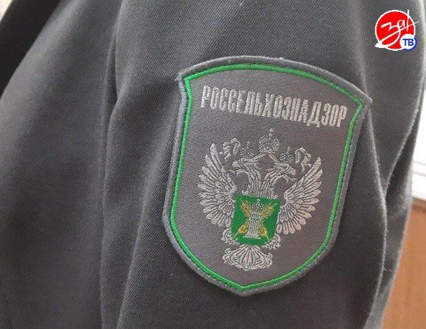 В Запорожской области Россельхознадзор обнаружил нарушения при транспортировке подконтрольной госветнадзору продукции