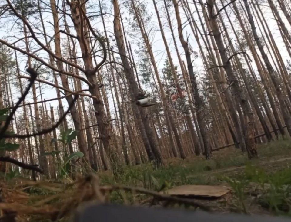Наши бойцы весьма необычным способом обезвредили оптоволоконный FPV-дрон хохлов