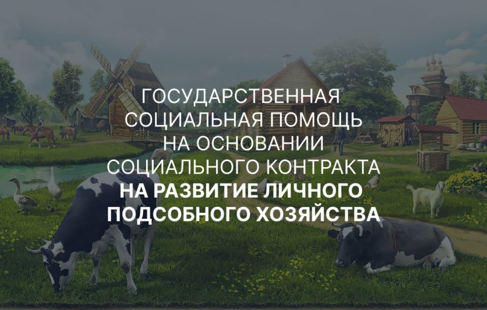         11.02.2025  64-          13.11.2023  91-       ...