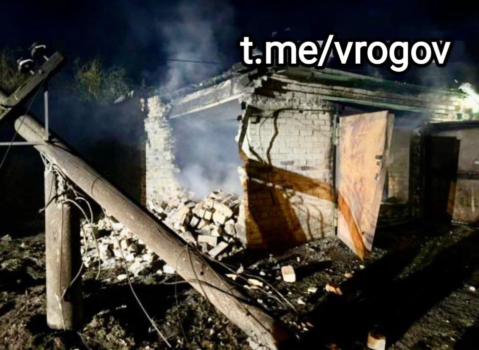 Владимир Рогов: О массированном цветении Герани в Запорожье