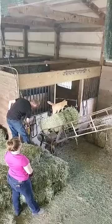 А вот и долгожданная пятница!