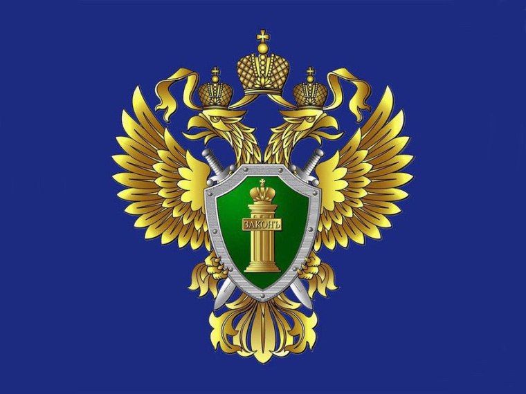 Прокуратура Михайловского района разъясняет ответственность для дропперов