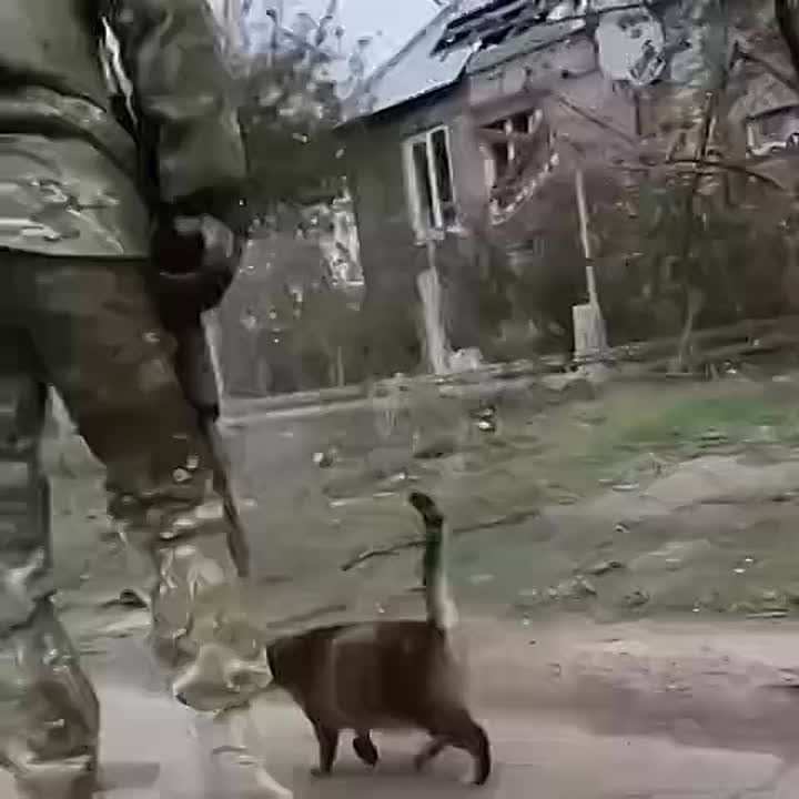   ,  !
