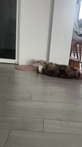 Когда утром никуда не хочешь