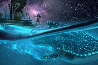 5              Disney  2 -      