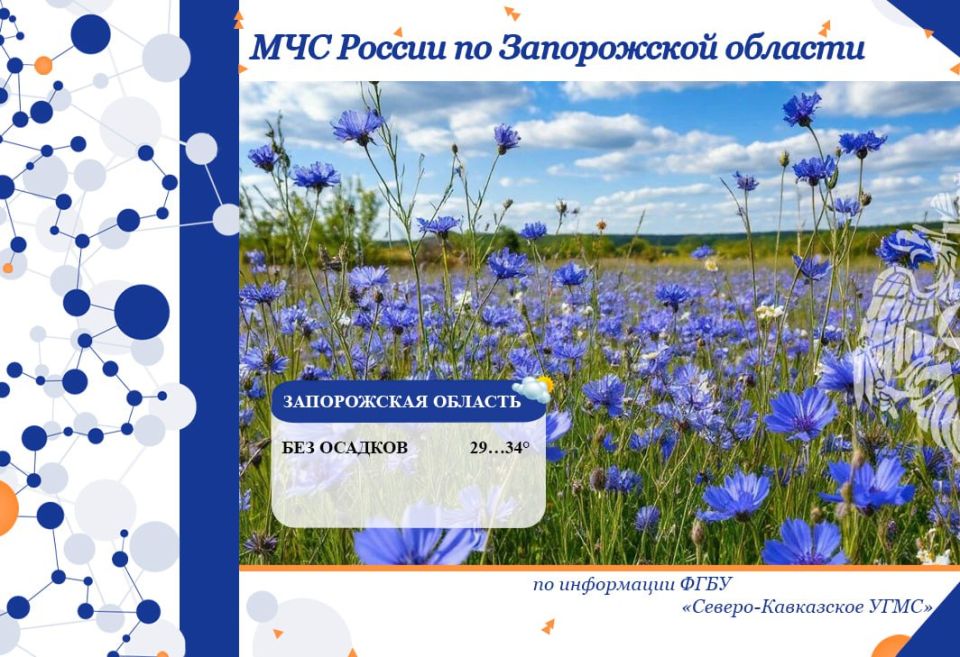06     :
