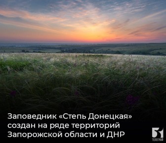 Заповедник «Степь Донецкая» создан на ряде территорий Запорожской области и ДНР