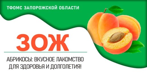Абрикосы — вкусные и полезные фрукты, которые благодаря современным технологиям доступны на нашем столе круглый год