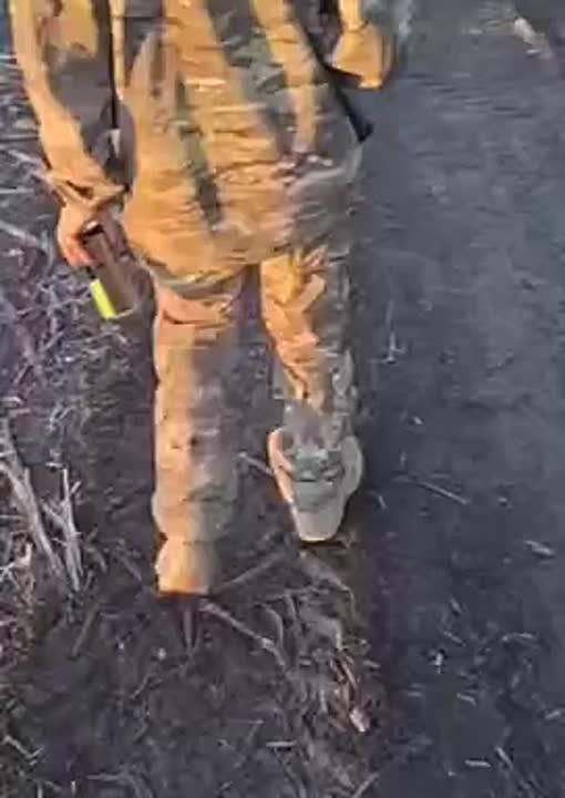   ,  !